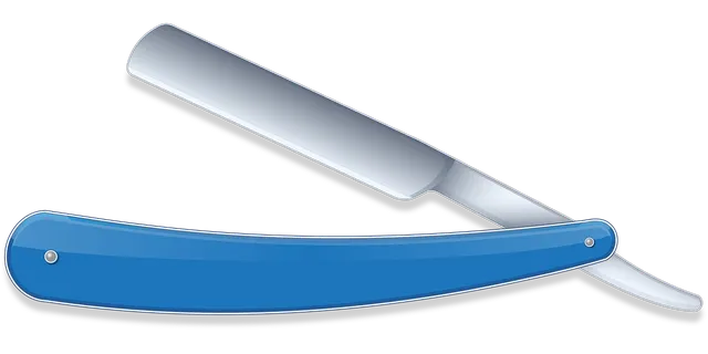 Wilkinson Sword Hydro 5 razor with blades